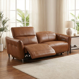 Brown leather sofa in a living room with large windows and plants.
