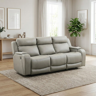 Grey sofa in a living room with a rug and plants