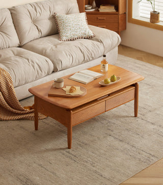jana modern storage coffee table