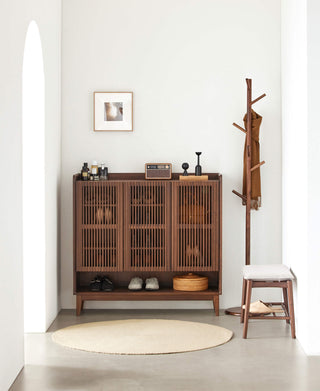 lana shoe storage cabinet