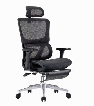Paul Ergonomic Chair with footstool
